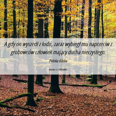Picture 06 - Marka 5:2 POLUBG - A gdy on wyszedł z łodzi, zaraz wybiegł mu - Bible Verse Picture