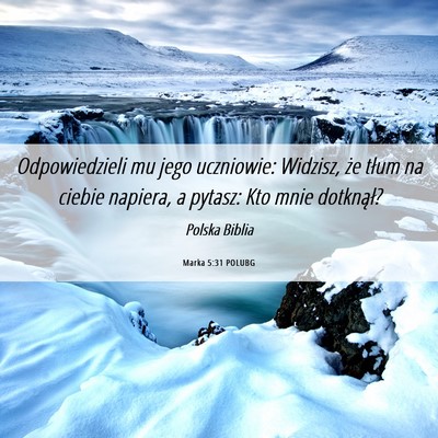 Picture 06 - Marka 5:31 POLUBG - Odpowiedzieli mu jego uczniowie: Widzisz, że - Bible Verse Picture