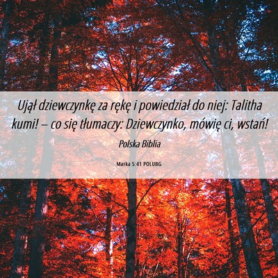 Picture 06 - Marka 5:41 POLUBG - Ujął dziewczynkę za rękę i powiedział do - Bible Verse Picture