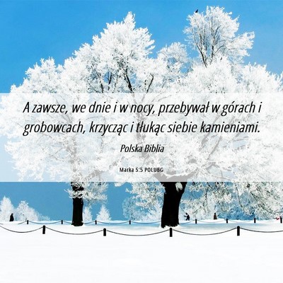 Picture 06 - Marka 5:5 POLUBG - A zawsze, we dnie i w nocy, przebywał w górach - Bible Verse Picture