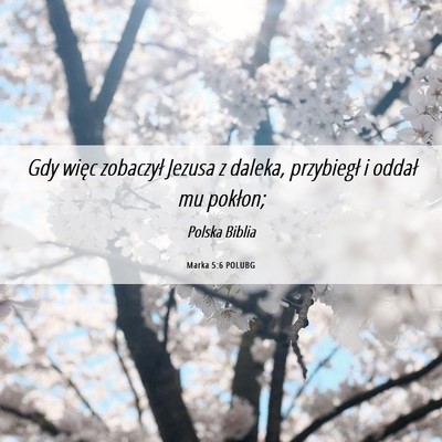 Picture 06 - Marka 5:6 POLUBG - Gdy więc zobaczył Jezusa z daleka, przybiegł i - Bible Verse Picture
