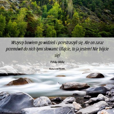 Picture 06 - Marka 6:50 POLUBG - Wszyscy bowiem go widzieli i przestraszyli się. - Bible Verse Picture