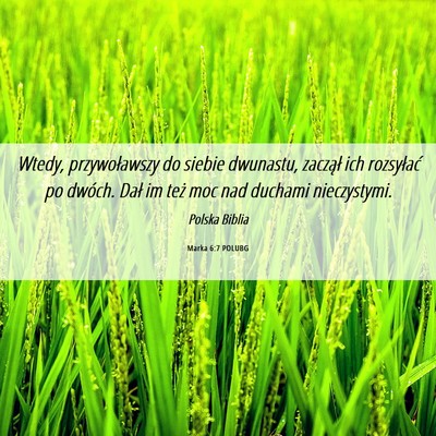Picture 06 - Marka 6:7 POLUBG - Wtedy, przywoławszy do siebie dwunastu, zaczął - Bible Verse Picture