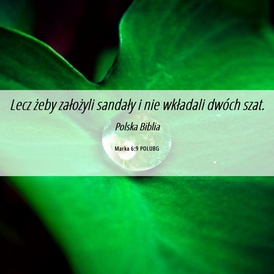 Picture 06 - Marka 6:9 POLUBG - Lecz żeby założyli sandały i nie wkładali - Bible Verse Picture