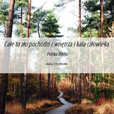 Picture 06 - Marka 7:23 POLUBG - Całe to zło pochodzi z wnętrza i kala - Bible Verse Picture