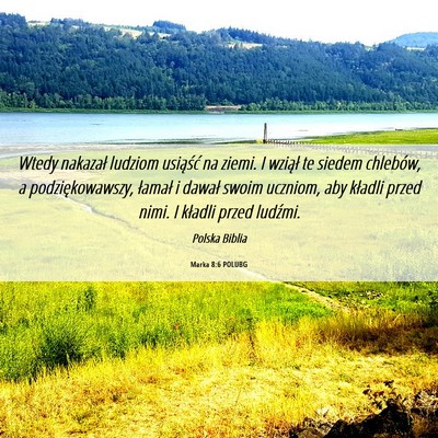 Picture 06 - Marka 8:6 POLUBG - Wtedy nakazał ludziom usiąść na ziemi. I - Bible Verse Picture