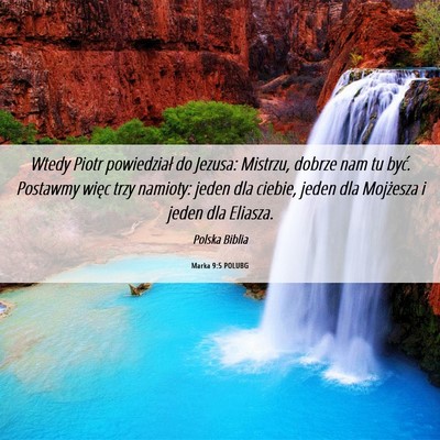 Picture 06 - Marka 9:5 POLUBG - Wtedy Piotr powiedział do Jezusa: Mistrzu, - Bible Verse Picture