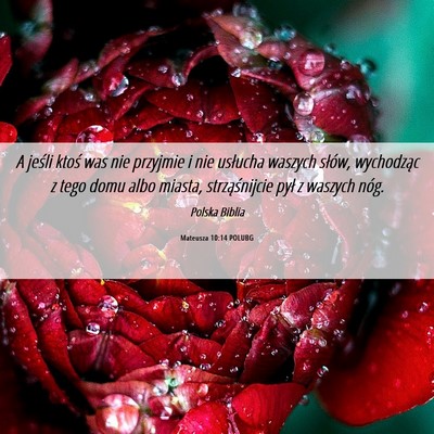 Picture 06 - Mateusza 10:14 POLUBG - A jeśli ktoś was nie przyjmie i nie usłucha - Bible Verse Picture