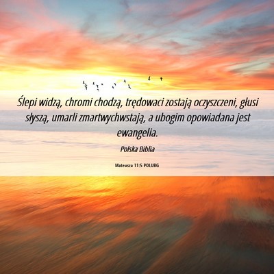 Picture 06 - Mateusza 11:5 POLUBG - Ślepi widzą, chromi chodzą, trędowaci - Bible Verse Picture