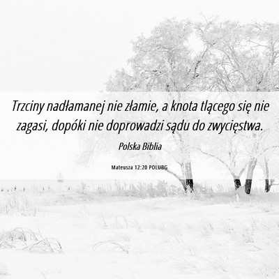 Picture 06 - Mateusza 12:20 POLUBG - Trzciny nadłamanej nie złamie, a knota tlącego - Bible Verse Picture