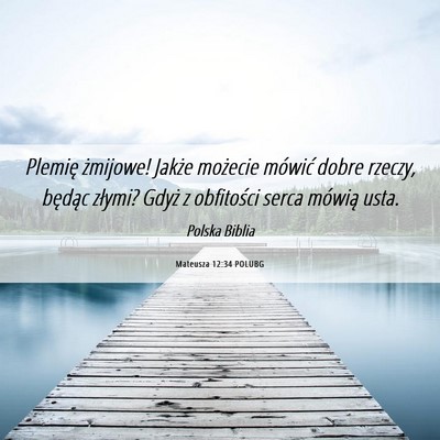 Picture 06 - Mateusza 12:34 POLUBG - Plemię żmijowe! Jakże możecie mówić dobre - Bible Verse Picture