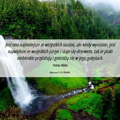 Picture 06 - Mateusza 13:32 POLUBG - Jest ono najmniejsze ze wszystkich nasion, ale - Bible Verse Picture
