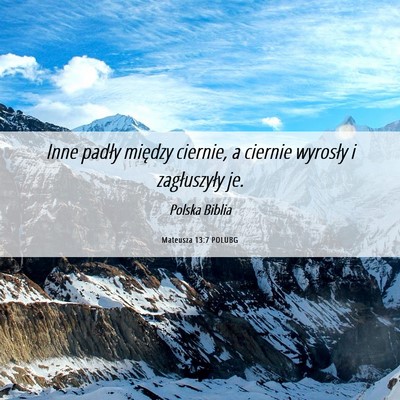 Picture 06 - Mateusza 13:7 POLUBG - Inne padły między ciernie, a ciernie wyrosły i - Bible Verse Picture
