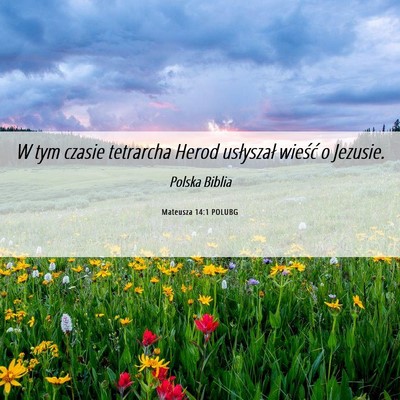 Picture 06 - Mateusza 14:1 POLUBG - W tym czasie tetrarcha Herod usłyszał wieść o - Bible Verse Picture