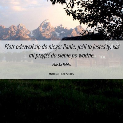 Picture 06 - Mateusza 14:28 POLUBG - Piotr odezwał się do niego: Panie, jeśli to - Bible Verse Picture