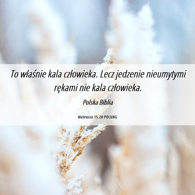 Picture 06 - Mateusza 15:20 POLUBG - To właśnie kala człowieka. Lecz jedzenie - Bible Verse Picture