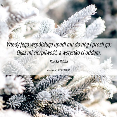 Picture 06 - Mateusza 18:29 POLUBG - Wtedy jego współsługa upadł mu do nóg i - Bible Verse Picture