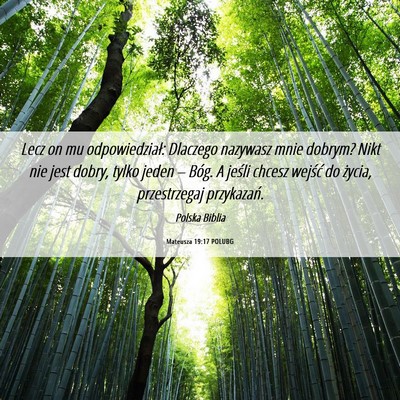 Picture 06 - Mateusza 19:17 POLUBG - Lecz on mu odpowiedział: Dlaczego nazywasz mnie - Bible Verse Picture