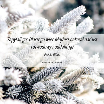 Picture 06 - Mateusza 19:7 POLUBG - Zapytali go: Dlaczego więc Mojżesz nakazał - Bible Verse Picture
