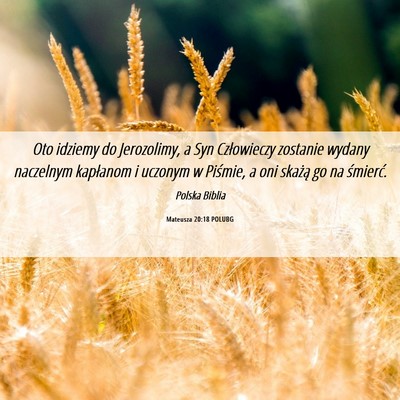 Picture 06 - Mateusza 20:18 POLUBG - Oto idziemy do Jerozolimy, a Syn Człowieczy - Bible Verse Picture