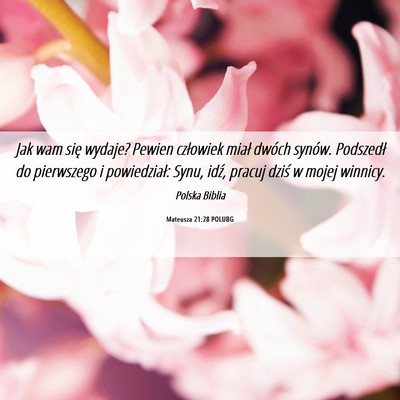 Picture 06 - Mateusza 21:28 POLUBG - Jak wam się wydaje? Pewien człowiek miał - Bible Verse Picture