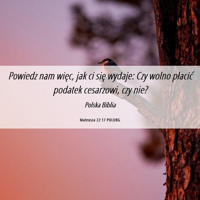 Picture 06 - Mateusza 22:17 POLUBG - Powiedz nam więc, jak ci się wydaje: Czy wolno - Bible Verse Picture