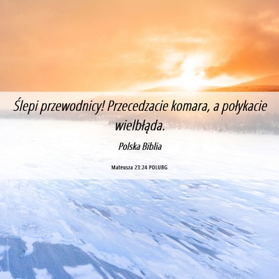 Picture 06 - Mateusza 23:24 POLUBG - Ślepi przewodnicy! Przecedzacie komara, a - Bible Verse Picture