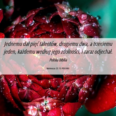 Picture 06 - Mateusza 25:15 POLUBG - Jednemu dał pięć talentów, drugiemu dwa, a - Bible Verse Picture