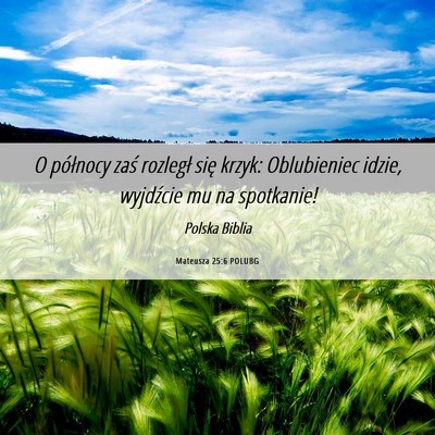 Picture 06 - Mateusza 25:6 POLUBG - O północy zaś rozległ się krzyk: Oblubieniec - Bible Verse Picture