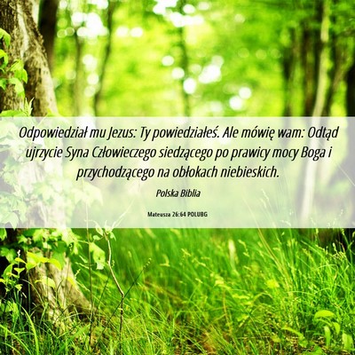 Picture 06 - Mateusza 26:64 POLUBG - Odpowiedział mu Jezus: Ty powiedziałeś. Ale - Bible Verse Picture