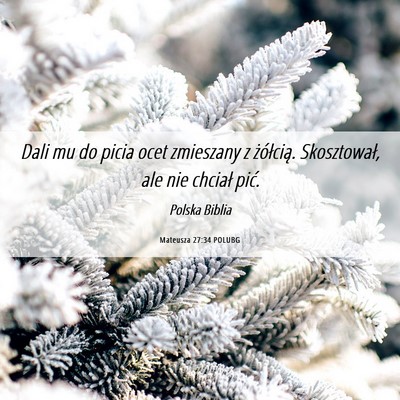 Picture 06 - Mateusza 27:34 POLUBG - Dali mu do picia ocet zmieszany z żółcią. - Bible Verse Picture