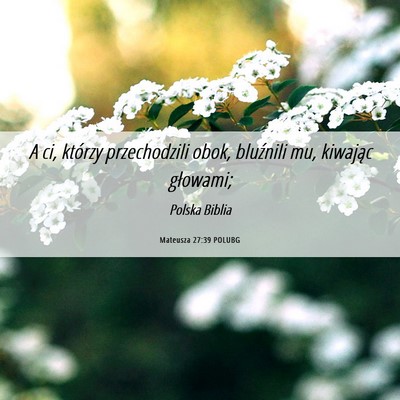 Picture 06 - Mateusza 27:39 POLUBG - A ci, którzy przechodzili obok, bluźnili mu, - Bible Verse Picture