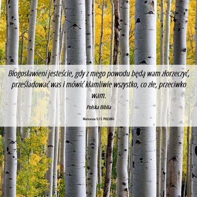 Picture 06 - Mateusza 5:11 POLUBG - Błogosławieni jesteście, gdy z mego powodu - Bible Verse Picture
