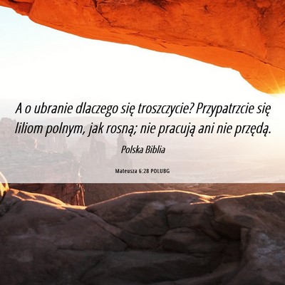 Picture 06 - Mateusza 6:28 POLUBG - A o ubranie dlaczego się troszczycie? - Bible Verse Picture