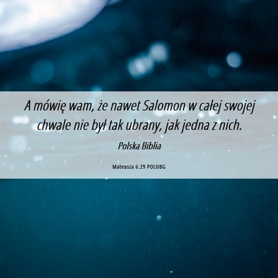 Picture 06 - Mateusza 6:29 POLUBG - A mówię wam, że nawet Salomon w całej swojej - Bible Verse Picture