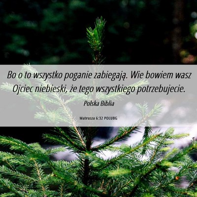 Picture 06 - Mateusza 6:32 POLUBG - Bo o to wszystko poganie zabiegają. Wie bowiem - Bible Verse Picture