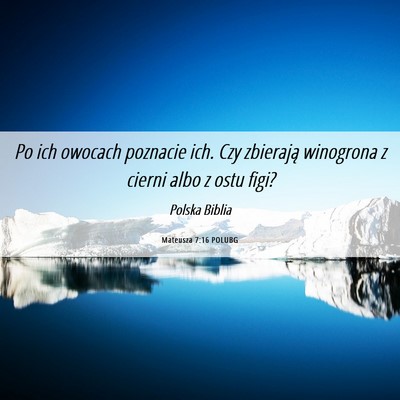 Picture 06 - Mateusza 7:16 POLUBG - Po ich owocach poznacie ich. Czy zbierają - Bible Verse Picture