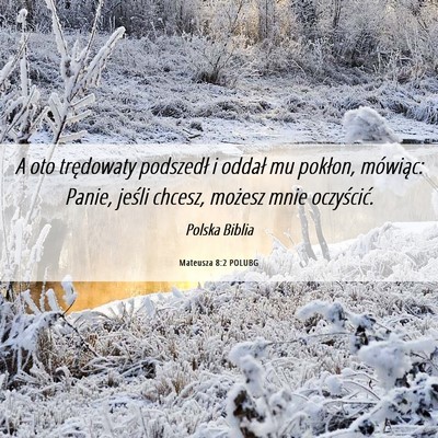 Picture 06 - Mateusza 8:2 POLUBG - A oto trędowaty podszedł i oddał mu pokłon, - Bible Verse Picture