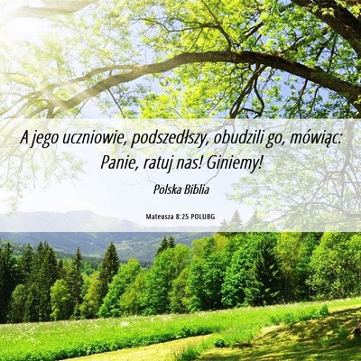Picture 06 - Mateusza 8:25 POLUBG - A jego uczniowie, podszedłszy, obudzili go, - Bible Verse Picture