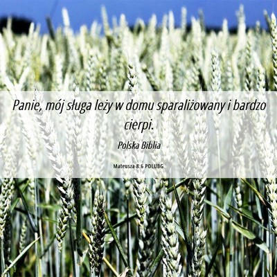 Picture 06 - Mateusza 8:6 POLUBG - Panie, mój sługa leży w domu sparaliżowany i - Bible Verse Picture