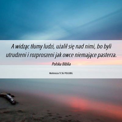 Picture 06 - Mateusza 9:36 POLUBG - A widząc tłumy ludzi, użalił się nad nimi, - Bible Verse Picture