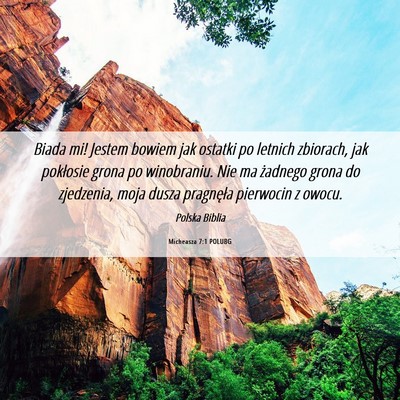 Picture 06 - Micheasza 7:1 POLUBG - Biada mi! Jestem bowiem jak ostatki po letnich - Bible Verse Picture