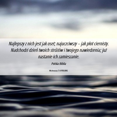 Picture 06 - Micheasza 7:4 POLUBG - Najlepszy z nich jest jak oset; najuczciwszy – - Bible Verse Picture