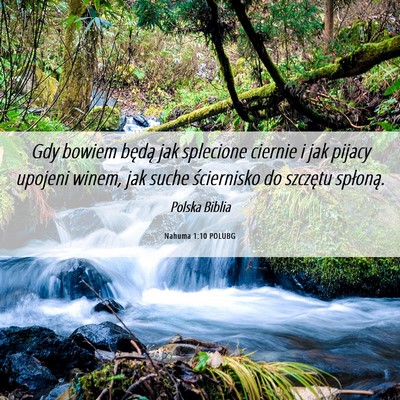 Picture 06 - Nahuma 1:10 POLUBG - Gdy bowiem będą jak splecione ciernie i jak - Bible Verse Picture