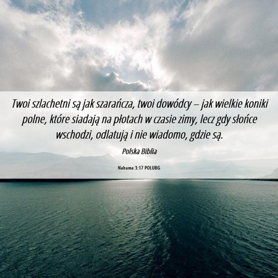 Picture 06 - Nahuma 3:17 POLUBG - Twoi szlachetni są jak szarańcza, twoi dowódcy - Bible Verse Picture