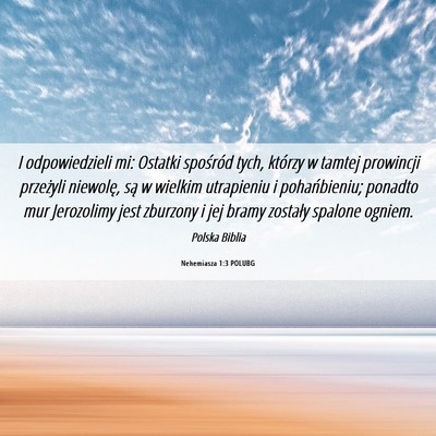 Picture 06 - Nehemiasza 1:3 POLUBG - I odpowiedzieli mi: Ostatki spośród tych, - Bible Verse Picture
