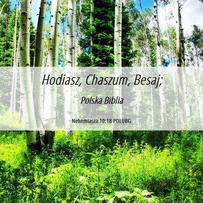 Picture 06 - Nehemiasza 10:18 POLUBG - Hodiasz, Chaszum, - Bible Verse Picture