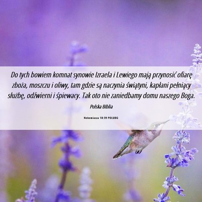 Picture 06 - Nehemiasza 10:39 POLUBG - Do tych bowiem komnat synowie Izraela i Lewiego - Bible Verse Picture