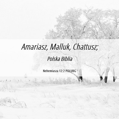 Picture 06 - Nehemiasza 12:2 POLUBG - Amariasz, Malluk, - Bible Verse Picture