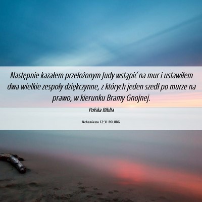 Picture 06 - Nehemiasza 12:31 POLUBG - Następnie kazałem przełożonym Judy wstąpić - Bible Verse Picture